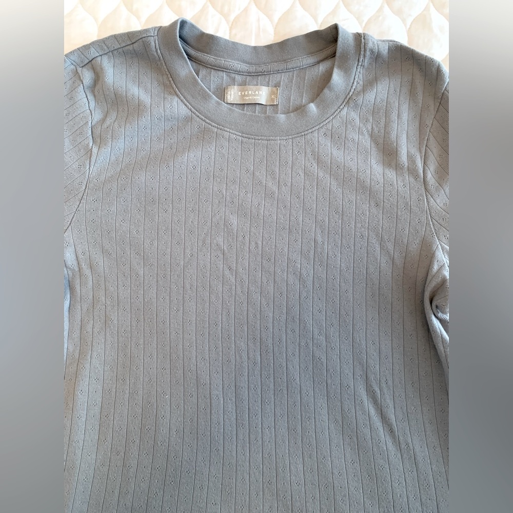 Everlane organic cotton shirt